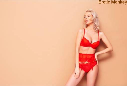 Insights on Tampa Luxury Companions